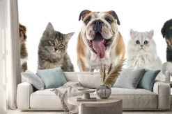 Naklejka: Grupa zwierzę