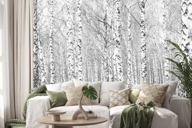 Naklejka: Gęsty las z brzozami