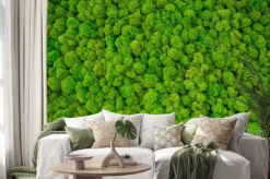 Naklejka: Gęsty mech w kolorach zieleni