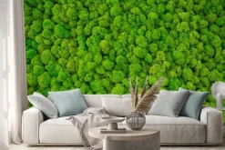 Naklejka: Gęsty mech w kolorach zieleni