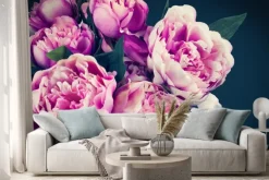 Naklejka: Główki białoróżowych piwonii