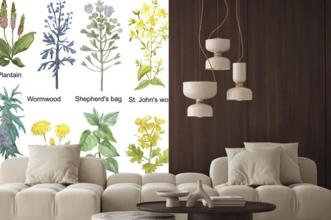 Naklejka: Hand-drawn watercolor medicinal forest and meadow herbs. plantain,