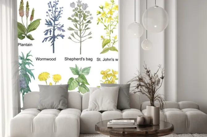 Naklejka: Hand-drawn watercolor medicinal forest and meadow herbs. plantain,