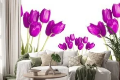 Naklejka: Header panorama wiele fioletowy fioletowy tulipan