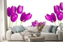 Naklejka: Header panorama wiele fioletowy fioletowy tulipan