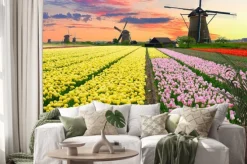 Naklejka: Holenderski wiatrak na polu tulipanów
