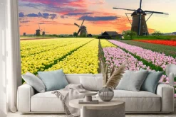 Naklejka: Holenderski wiatrak na polu tulipanów