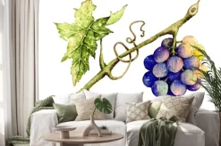 Naklejka: Ilustracja akwarela winogron