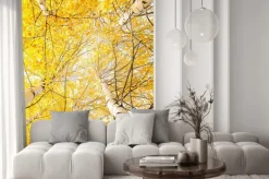 Naklejka: Jesienne drzewa z żółknięcie liści na tle nieba