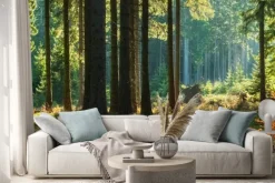 Naklejka: Jesienny widok na słoneczny las