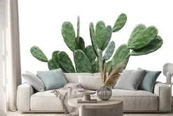 Naklejka: Kaktus odizolowywający na białego tła minimalnym lecie z ścinek