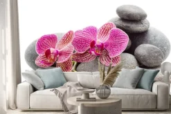 Naklejka: Kamienie spa