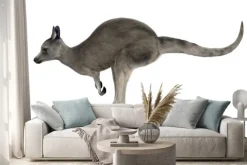 Naklejka: Kangur olbrzymi