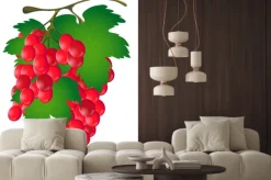 Naklejka: Kiść winogron z liści na białym tle