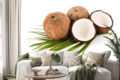 Naklejka: Kokos na białym tle