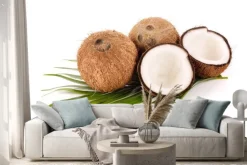 Naklejka: Kokos na białym tle