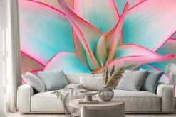 Naklejka: Kolorowe liście agawy