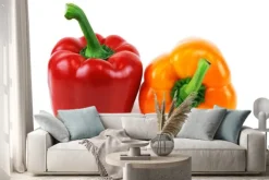 Naklejka: Kolorowe papryki na białym tle