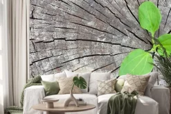 Naklejka: Koncepcja ekologii. rosnąca kiełkowa plantain starych drzew i