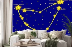 Naklejka: Konstelacji koziorożca