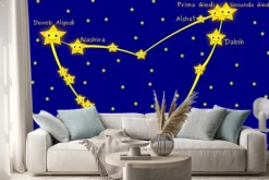 Naklejka: Konstelacji koziorożca