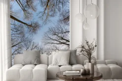 Naklejka: Korony drzew z jasnego nieba