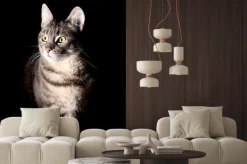 Naklejka: Kot, czarne tło