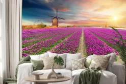 Naklejka: Krajobraz z tulipanów, tradycyjnych wiatraków holenderskich i