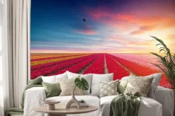 Naklejka: Krajobraz z tulipanów, tradycyjnych wiatraków holenderskich i