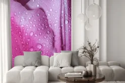 Naklejka: Kropla wody na różowe płatki tulipana, w płytkiej głębi ostrości.