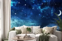 Naklejka: Księżyc na gwieździstym niebie