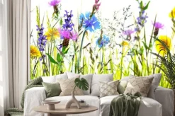 Naklejka: Kwiatowa łąka na białym tle