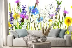 Naklejka: Kwiatowa łąka na białym tle