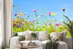 Naklejka: Kwiaty polne na łące