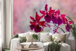 Naklejka: Kwitnienie storczyków z bordo kwiatów