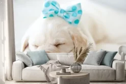 Naklejka: Labrador szczeniak