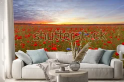 Naklejka: Landscape with poppies in jutland, denmark at sunset