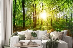 Naklejka: Las wiosenny z delikatnym złotym światłem poranka