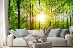 Naklejka: Las wiosenny z delikatnym złotym światłem poranka