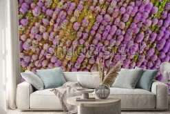 Naklejka: Lavender field aerial view. top view.