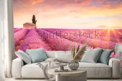 Naklejka: Lavender fields at sunrise near valensole, provence, france