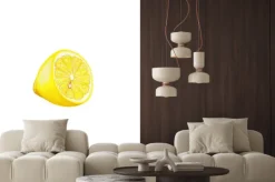 Naklejka: Lemon sztuki