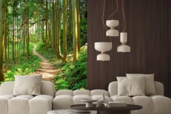 Naklejka: Leśna ścieżka otoczona zielonymi drzewami