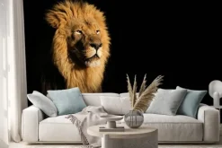 Naklejka: Lew w promieniach słońca na czarnym tle