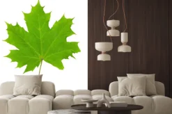 Naklejka: Liść klonu