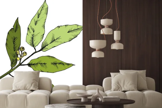 Naklejka: Liść roślin ogród botaniczny kwiatowy liści. element ilustracja