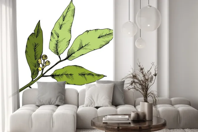 Naklejka: Liść roślin ogród botaniczny kwiatowy liści. element ilustracja