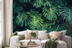 Naklejka: Liście monstery roślina tropikalna leśna