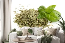 Naklejka: Liofilizowane bazylia i świeże