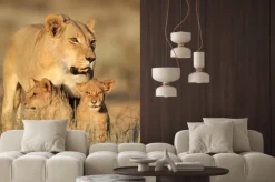 Naklejka: Lwica z młodymi młode lew (panthera leo) w świetle wczesnego